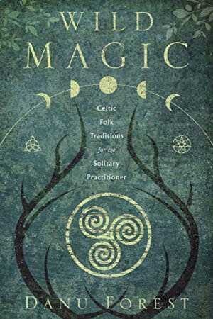 Wild Magic: an Immersive Guide to Celtic Magic and the Wild Wisdom of Your Heart
