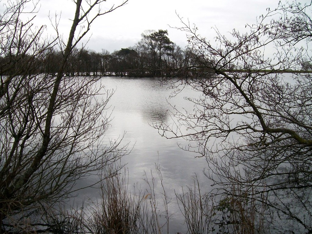 LLyn Glasfryn